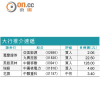大行報告：新秀麗銷售料受壓