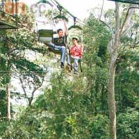 Tree Top Adventure容許你坐定定穿梭綠林中。