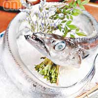 名稱：太刀魚（又叫刀魚、瘦帶）特徵：全身泛銀光呈長條狀，大魚可長達一點五米。休息時會頭上尾下垂直挺於水中，全身布滿銀色細鱗，加工後可作為仿珍珠的材料。