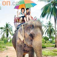 去泰國玩，騎大象是指定動作。