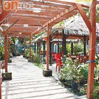 椰花園中設海鮮餐館，充滿熱帶風情。