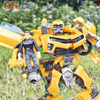 大黃蜂與阿森（Bumblebee with Sam）　$329.9