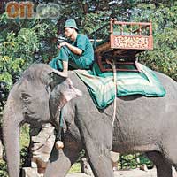 大象的士，基本上是讓遊客過一過癮兼拍照的道具，要暢遊吳哥古城，還是要靠雙腳。