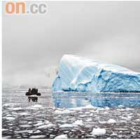 南極雙姝  臥冰學環保