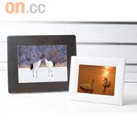 左：PHILIPS 6FF3FPW 六吋相架，開倉價$600（原價$1,200）<br>右：AGFA 八吋相架，開倉價$850（原價$1,700）