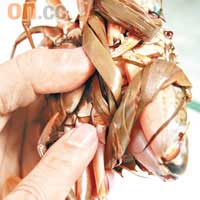 1.黃油蟹跟一般膏蟹外表分別不大，但反轉時會看到蟹殼略帶暗紅色，蟹爪關節則是金黃色。