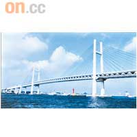 可播放最高720p高清影片,不過仍是480p解像度最理想流暢。