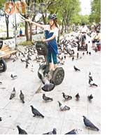 騎着「雙輪」到曼谷的Sanam Luang公園餵白鴿，別有一番樂趣。