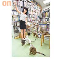 每晚書店收舖後，陳小姐都會留守在店舖與貓兒玩樂、清潔。