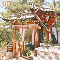地點隔涉兼門口有大樹包圍，為喝茶的院子增添隱世味道。