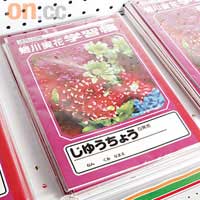 Mika Ninagawa筆記簿$75