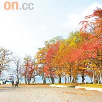 秋<br>秋季賞楓，有青森這日本著名的紅葉勝地。
