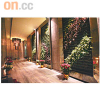 進餐廳前先經過長長的迴廊，一邊是由鐵杉木製的深灰色百葉窗，加上種有真草的Green Wall Panels，空間感十足。