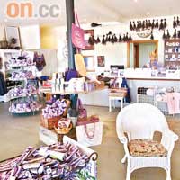 Bridestowe呈粉紫色的精品店，齊備各款薰衣草產品。