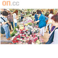 命喜木者可選植物有關的行業，例如花店。