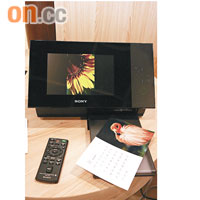 Sony DPP-F700