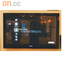 可因應個人喜好及需要，加入不同的Internet Widget。