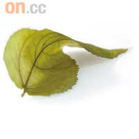 糖化有皺紋