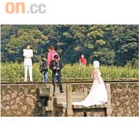 到訪當日，看到不少新人在油菜花田拍攝婚紗照。