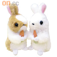 夢之迷你兔，兩隻一齊食蘿蔔，真係好Cute。 $98