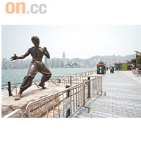 星光大道明晚將會搖身變成低碳大本營，歡迎市民免費參與。