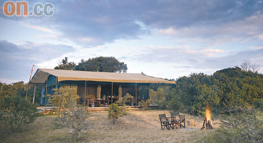 Porini Rhino Camp屬小型的Lodge，只有12個宿位，每兩人一個獨立營帳。