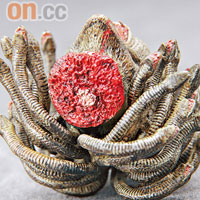 就連斷頸都做得骨肉分明，認真程度可見一斑。