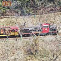 著名的嵯峨野觀光火車，不時都會在對岸的河谷駛過。