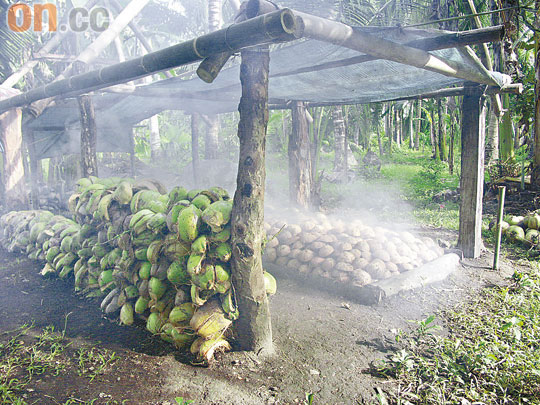 村民用柴火的熱力來熏椰子，提煉出椰子油。