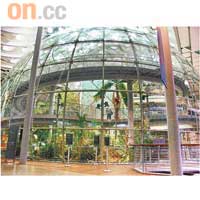 玻璃球內的熱帶雨林，由意大利建築大師倫佐．皮亞諾設計。