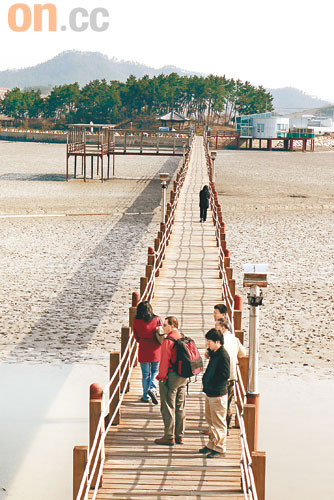 站在470米長的彈塗魚大橋上，可以慢慢觀察泥灘的自然生態。