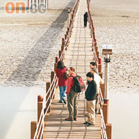 站在470米長的彈塗魚大橋上，可以慢慢觀察泥灘的自然生態。