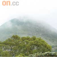 奇趣一：鳳凰縹緲<br>鳳凰山山頭經常有雲霧籠罩，因為本港經常吹南風，將南中國海的潮濕空氣吹向香港，於山上形成一層輕紗似的雲霧而得名。