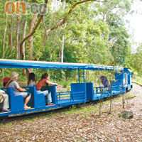 動物園面積頗大，不想行可以坐小火車。