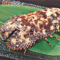 黑琵琶蝦 $128-$188/200克-350克<br>來自馬來西亞，於香港貨源不多，相對於豬琶蝦，入口較清淡，肉質薄身軟滑，可當火鍋及刺身兩食。