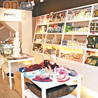 店舖地下主要售賣狗狗服飾及食品，而上層則是美容重地。