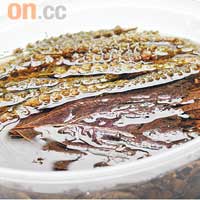草藥浸腳