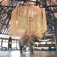 Safari Park Hotel大堂正中的非洲大象夠晒壓場。