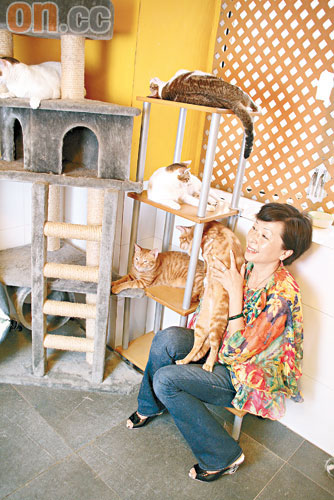 Yoyo的家有32隻貓、16隻狗，為了愛寵，她願意將幾千平方呎的獨立屋變成寵物屋。