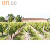 由Chanfreau家族擁有的Chateau Fonreaud，每年生產約20萬支紅酒。