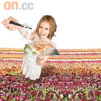 香港啲涼菜同北海道花田一樣咁七彩嘅呢！（設計對白）