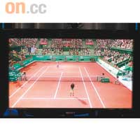 《Racket Sports》
