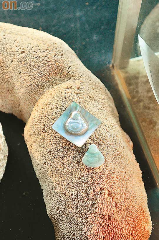 養好的珍珠佛鑲在18K金托上，售價US$500。