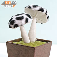最新出品嘅蘑菇飾物盒，好可愛呀！$140（a）