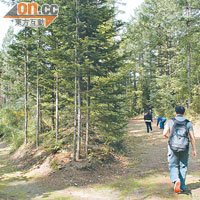 陽殖園大如郊野公園，當中的行人路均由高橋先生一手開闢而成。