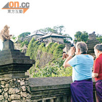 烏魯瓦圖的猴子有鋪扒手癮，各位遊客請抓緊頭上的帽子、眼鏡、相機等，免招損失。