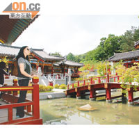 韓劇《善德女王》曾在園區拍攝，其宮廷場景已成了韓劇迷的影相位。
