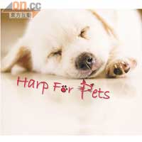 《Harp For Pets》 $120
