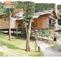以竹及樹皮建造的傳統長屋，設計上特意升高以防洪水。