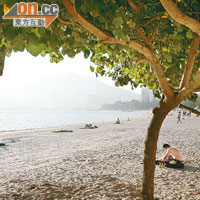 黃金海岸：熱門沙灘排球練習點，是女星出沒熱點。